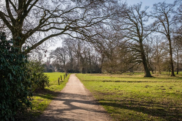 istock Typical Dutch Spring landscape in March near Delden (Twente, Overijssel) 658675772