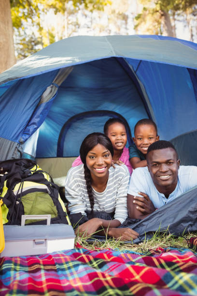 istock Happy family posing together 658676292