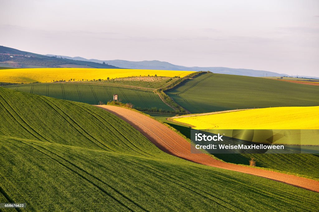 Sunny Spring farmland on hills of South Moravia Sunny Spring farmland on hills of South Moravia. Czech green and yellow spring fields. Rural agriculture scene Agricultural Field Stock Photo