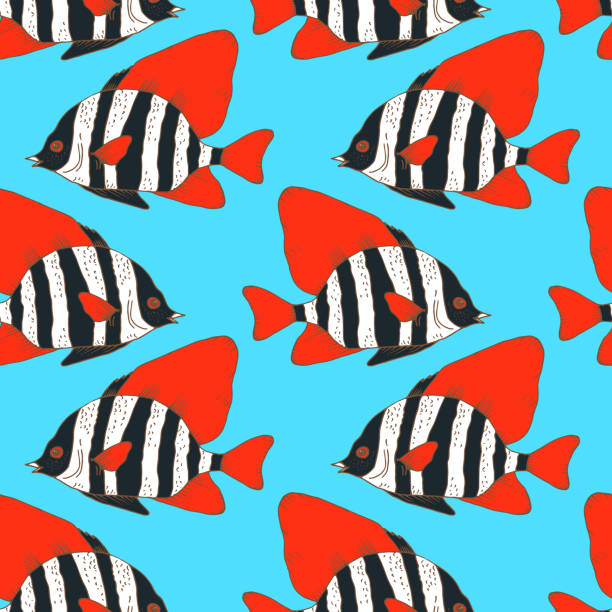 Zebra Patterned Fish 50+ Zebra Striped Fish Drawing Stock Illustrations, Royalty-Free Vector ...