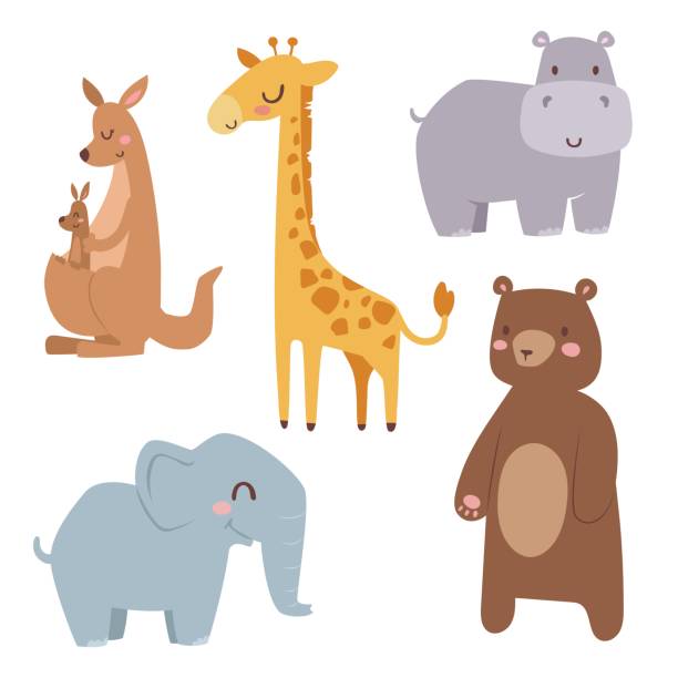 illustrations, cliparts, dessins animés et icônes de zoo cute cartoon animaux isolés drôle faune apprendre langue mignon et nature tropicale safari mammifère jungle hauteur des caractères vector illustration - kangaroo animal humor fun