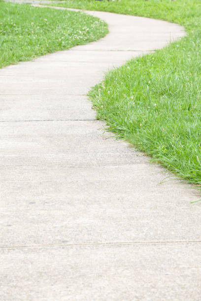 istock concrete walkway and green grass at garden 658718208