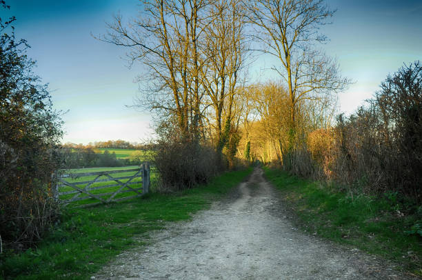 The English countryside in the High Weald of West Kent. The images were taken in the evening at the so called \