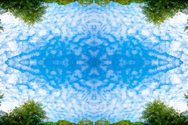 fluffy clouds and lush green foliage birch trees and blue sky in the rainforest on frame nature background texture  perspective