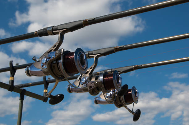 150+ Fishing Pole Rack Stock Photos, Pictures & Royalty-Free