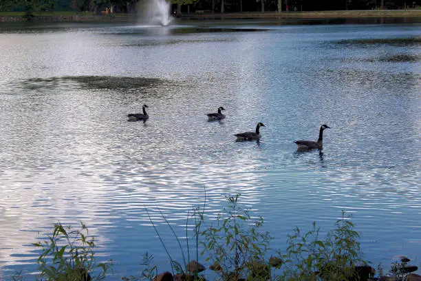 A sunny day in the local park