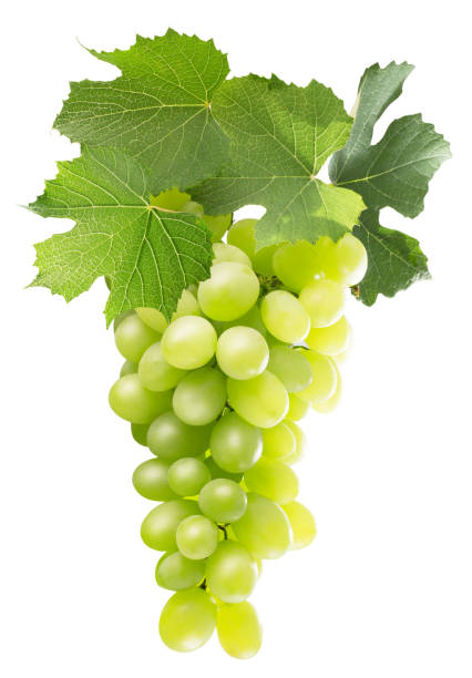 istock green grapes isolated on a white background 658759412