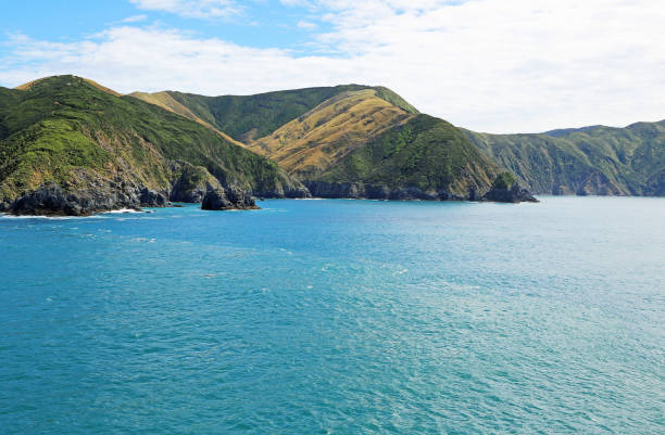 istock North coast of south island 658766444