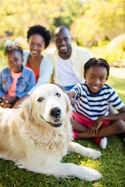 istock Happy family posing together 658785716