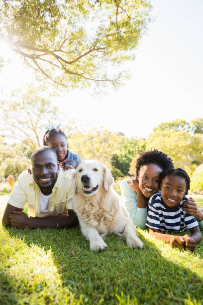 istock Happy family posing together 658786364