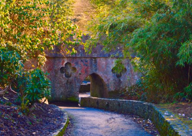istock Tullymore Forest Park, Newcastle, County Down, Northern Ireland 658799284
