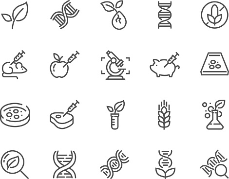 Simple Set of GMO Related Vector Line Icons. Contains such Icons as DNA, Lab Tests, Petri Dish and more. Editable Stroke. 48x48 Pixel Perfect.