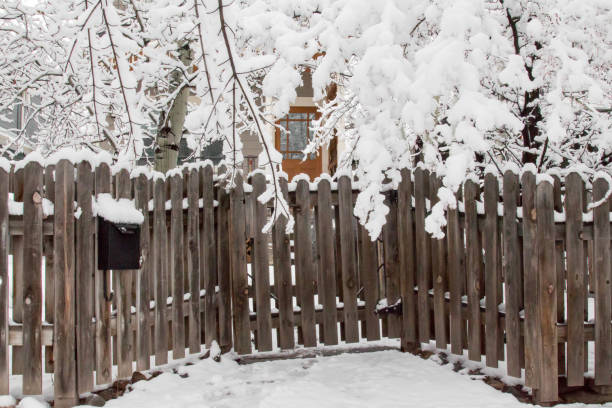 istock Wooden front fence with mail box and snow covered trees 658807392