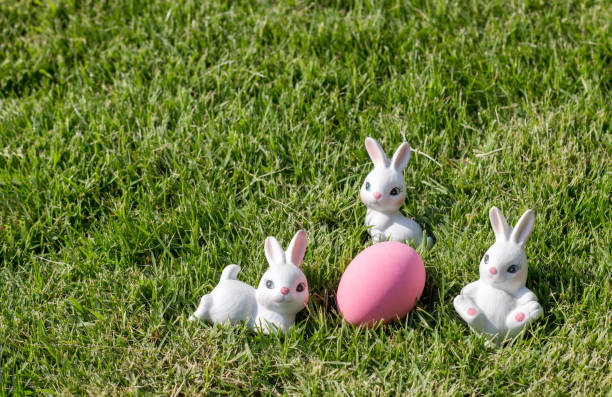 istock bunny rabbit with colour egg Easter season concept on park 658808276