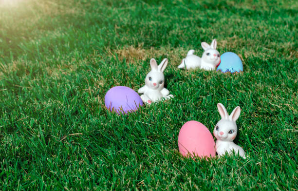 istock bunny rabbit with colour egg Easter season concept on park 658808324