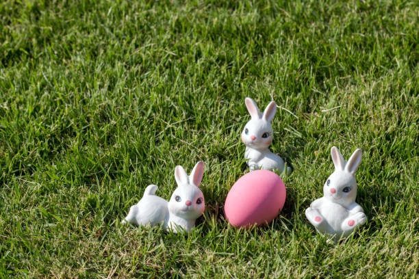 istock bunny rabbit with colour egg Easter season concept on park 658808404