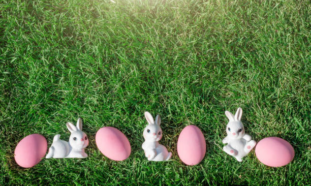 istock bunny rabbit with colour egg Easter season concept on park 658810666