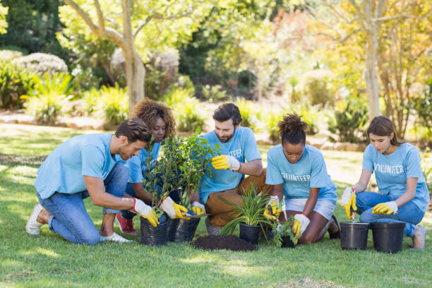 istock Group of volunteer planting 658814494
