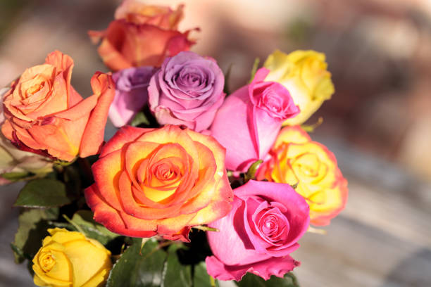 Roses in a rainbow of colors including pink, orange, red and yellow in a spring bouquet.