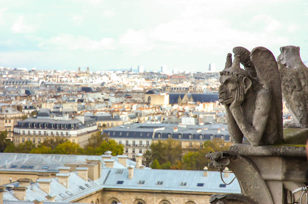 istock Paris City view from rooftop terrace Notre Dame de Paris 658830662
