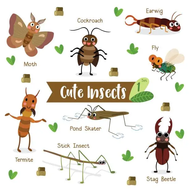 Vector illustration of Insects Animal cartoon with animal name vector illustration. Set 1