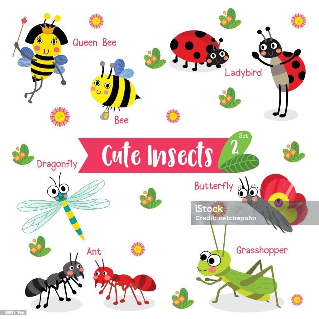 Insects Animal Cartoon With Animal Name Vector Illustration Set 2 Stock  Illustration - Download Image Now - iStock