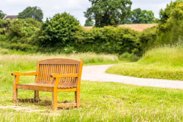 istock Bench in the park on footpath background 658840160
