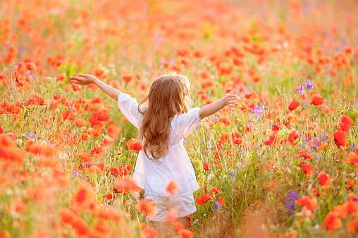 Young beautiful girl walking and dancing through a poppy field, summer outdoor, Toned