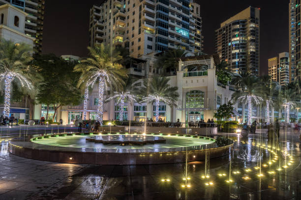 istock Dubai marian in the UAE 658853272