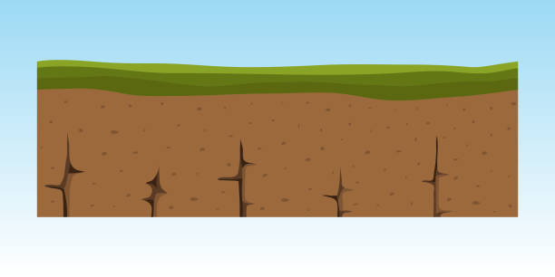 Cross section ground slice isolated some piece nature outdoor ecology underground and freestanding render garden natural geologist earth vector illustration Cross section ground slice isolated some piece nature outdoor ecology underground and freestanding render garden natural geologist earth vector illustration. Ecology agriculture crosssection. west china stock illustrations