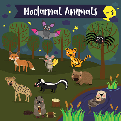 Ilustración de Animales Nocturnos De La Historieta Con Fondo De Bosque  Ilustración De Vector Set 3 y más Vectores Libres de Derechos de  Ilustración - iStock