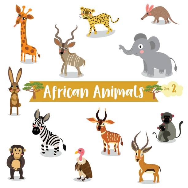 African Animals cartoon on white background. Vector illustration. Set 2 African Animals cartoon Giraffe, Kudu, Leopard, Aardvark, Elephant, Hare, Zebra, Chimpanzee, Vulture, Bongo, Gazelle, Vervet Monkey, on white background, Vector illustration. Set 2. antelope bongo stock illustrations