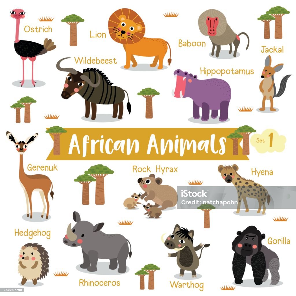 African Animals Cartoon With Animal Name Vector Illustration Set 1 Stock  Illustration - Download Image Now - iStock