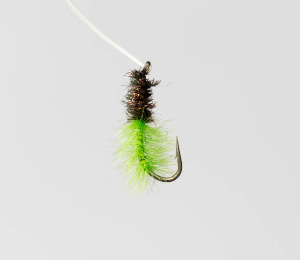 istock fly for fishing on a white background 658858874