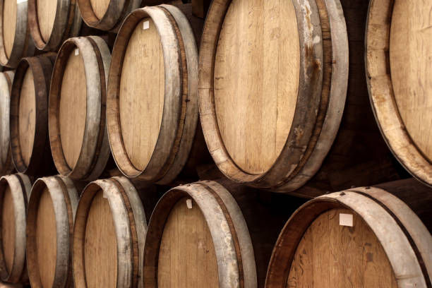 istock wooden wine barrels in cellar 658861290