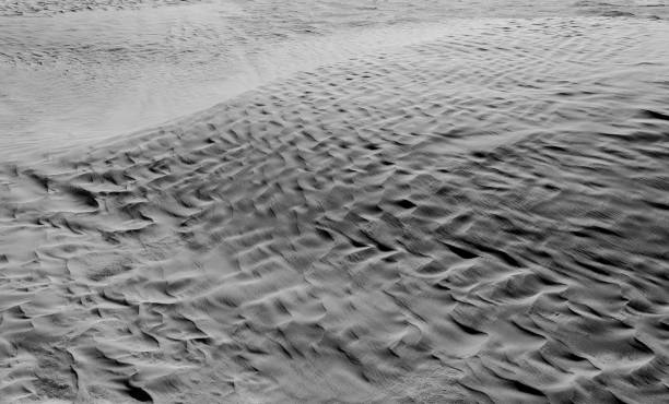 istock Black and White desert color. Background and Texture 658863172
