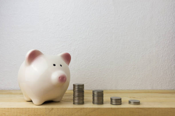 istock Piggybank and money tower 658867332