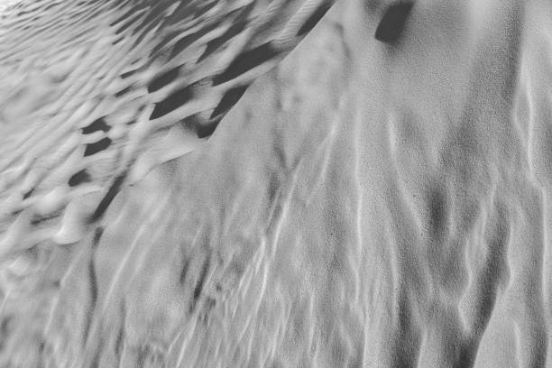 istock Black and White desert color. Background and Texture 658867392