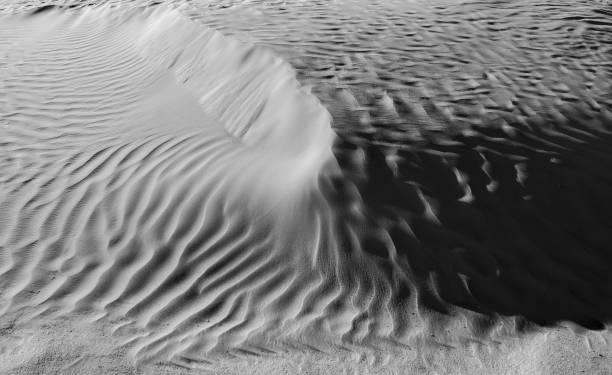 istock Black and White desert color. Background and Texture 658867696