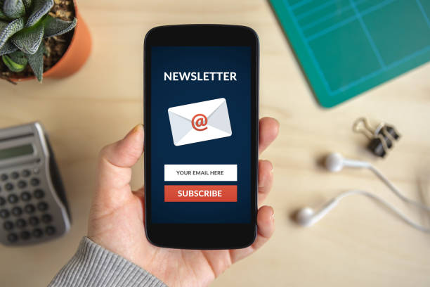 istock Hand holding smart phone with subscribe newsletter concept on screen 658870276