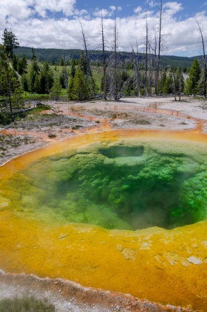 istock geyser in Yellowstone 658870482