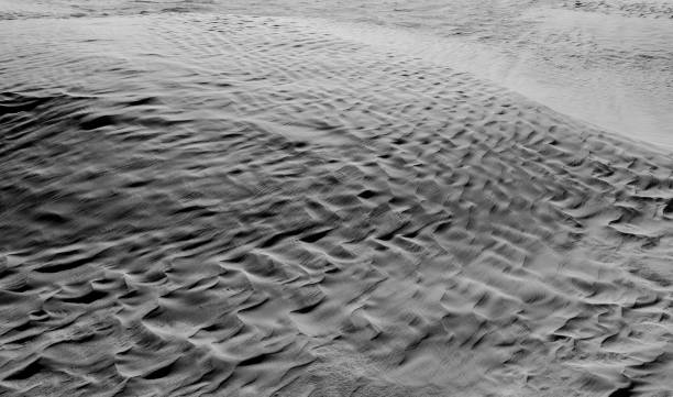 istock Black and White desert color. Background and Texture 658870512