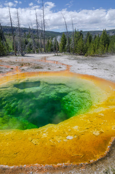 istock geyser in Yellowstone 658870520