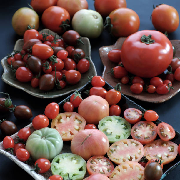 recoger tomates, comida barata contra el cáncer - vegetable vitamin a tomato vitamin c fotografías e imágenes de stock