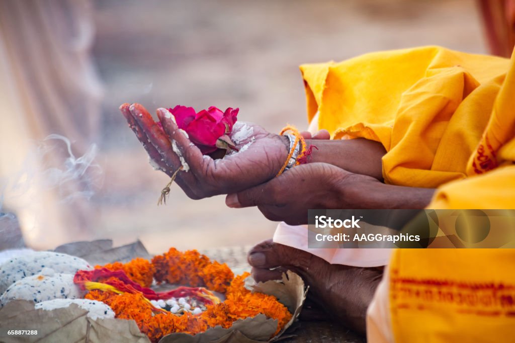 Sacred flowers are taken for worship on hand at river Ganges Varanasi, India - December 16, 2015 : Sacred flowers are taken for worship on hand at river Ganges, varanasi, uttar pradesh, india. Hinduism Stock Photo