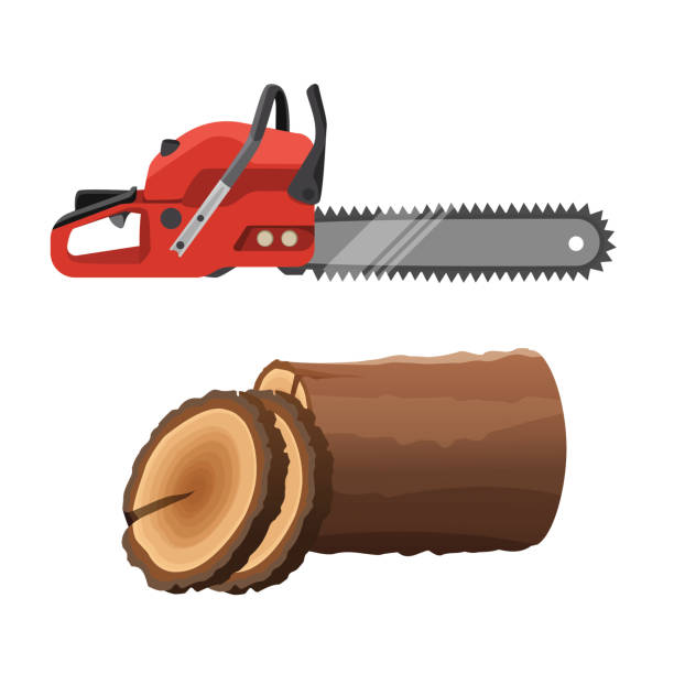 Axeman saw and stump isolated on white background. Gas chainsaw Axeman saw and stump isolated on white background. Gas chainsaw and round parts of tree trunk. Realistic vector illustration of petrol-driven power saw chainsaw stock illustrations