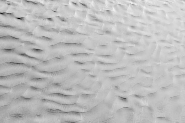 istock Black and White desert color. Background and Texture 658877324