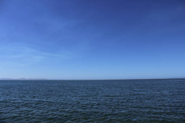 istock shades of blue 658879730