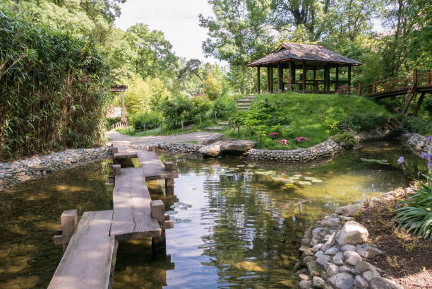 istock Japanese Garden in Belgrade. 658881138