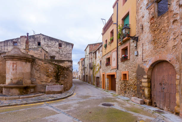 istock Narrow streets of Monblanc 658885144